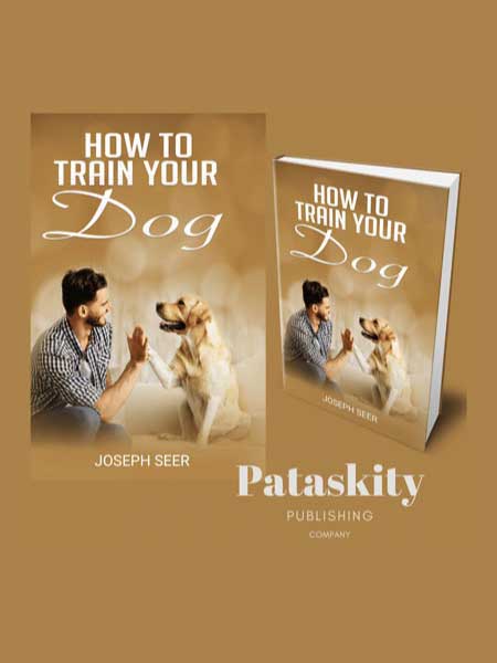 How To Train Your Dog